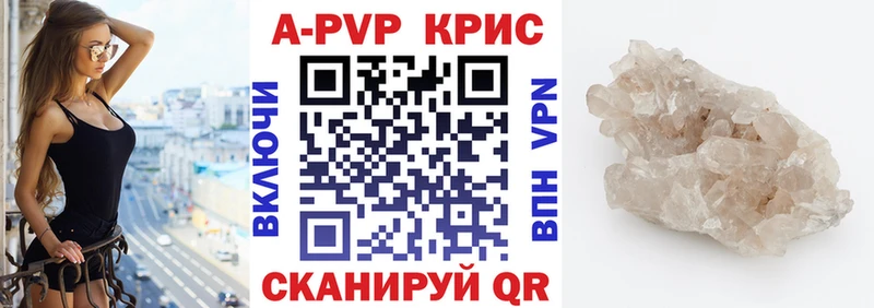A PVP СК КРИС  Суздаль 