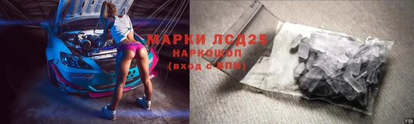 гидра Абаза