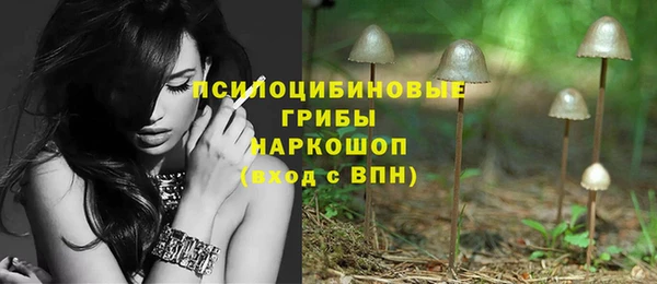 дурь Абинск