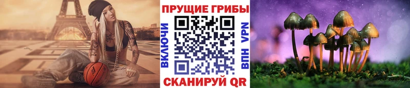 нарко площадка как зайти  Суздаль  Псилоцибиновые грибы Magic Shrooms  MEGA зеркало 