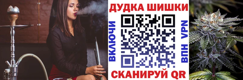 цены наркотик  Суздаль  Бошки Шишки Amnesia 